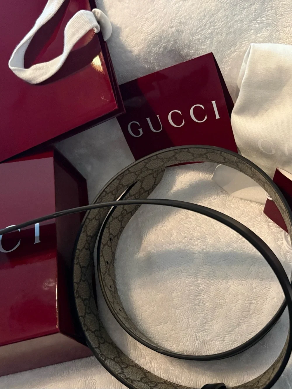 Gucci GG Monogram Belt in Beige with Black Reverse and Silver Buckle